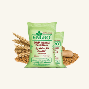 ENGRO Urea Fertilizer – 50 kg